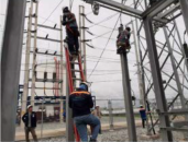 Screen Shot 2567-07-01 at 10.49.26 AM